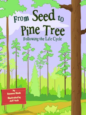 cover image of From Seed to Pine Tree